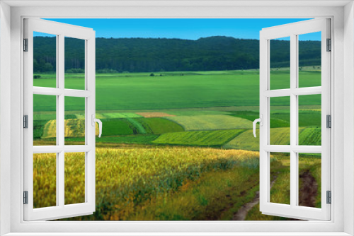 Fototapeta Naklejka Na Ścianę Okno 3D - Green field wheat and cloudly sky panorama