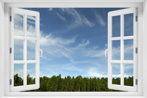 Fototapeta Naklejka Na Ścianę Okno 3D - Forest and blue sky.