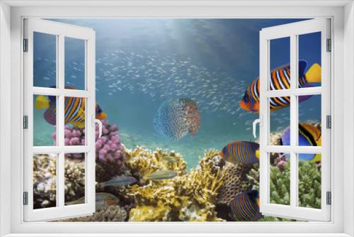 Fototapeta Naklejka Na Ścianę Okno 3D - Beautiful colorful coral reef and tropical fish underwater