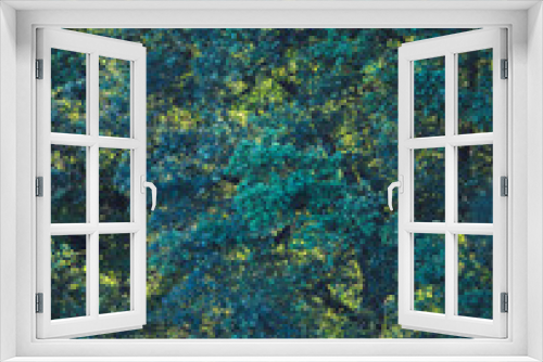 Fototapeta Naklejka Na Ścianę Okno 3D - Patterns in foliage of summer trees.