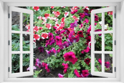 Fototapeta Naklejka Na Ścianę Okno 3D - Flower bed