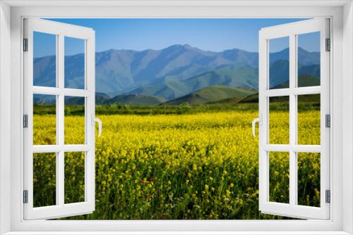 Fototapeta Naklejka Na Ścianę Okno 3D - Beautiful flowers in meadows of Armenia