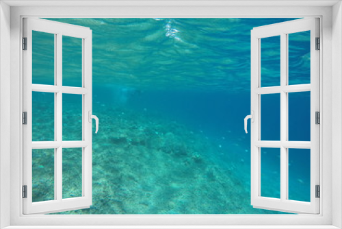 Fototapeta Naklejka Na Ścianę Okno 3D - undersea view japan zamami