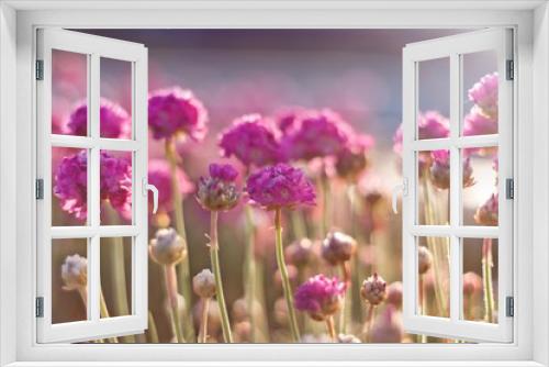 Fototapeta Naklejka Na Ścianę Okno 3D - różowe kwiaty w świetle delikatnych promieni słonecznych