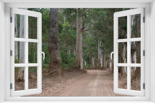 Fototapeta Naklejka Na Ścianę Okno 3D - Mount Frankland National Park, Western Australia