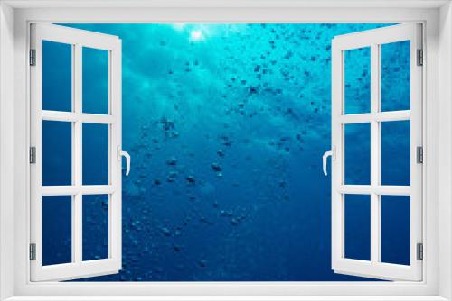 Fototapeta Naklejka Na Ścianę Okno 3D - Underwater view and bubble