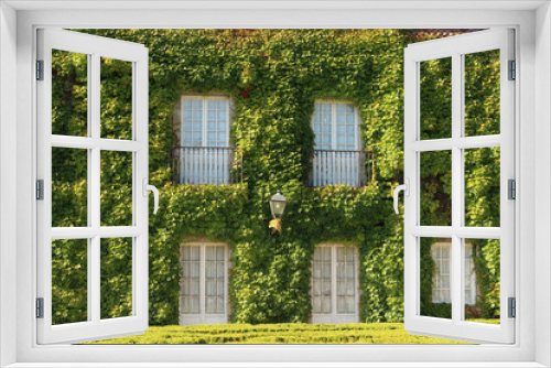 Fototapeta Naklejka Na Ścianę Okno 3D - fachada casa cubiera de hiedras menos las puertas y ventanas