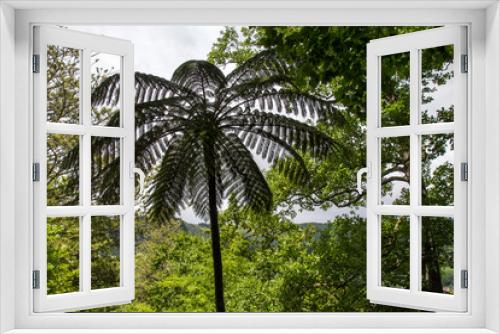 Fototapeta Naklejka Na Ścianę Okno 3D - Azoren Terra Nostra Park 