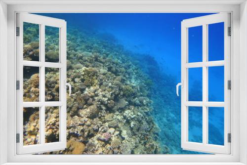 Fototapeta Naklejka Na Ścianę Okno 3D - Rafa koralowa