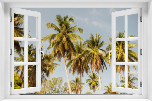 Fototapeta Naklejka Na Ścianę Okno 3D - Coconut Palm trees against blue sky at tropical coast, vintage toned and stylized