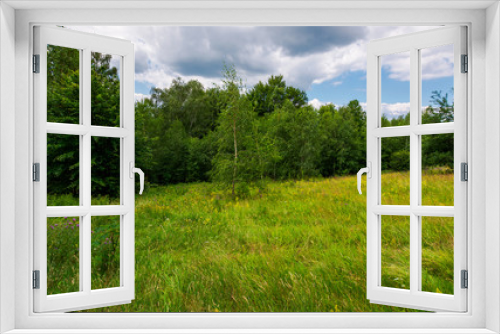 Fototapeta Naklejka Na Ścianę Okno 3D - large meadow among beech forest in summer. beautiful scenery on a cloudy and windy day