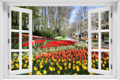 Fototapeta Naklejka Na Ścianę Okno 3D - Flowers in Keukenhof Garden, Netherlands