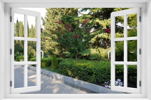 Fototapeta Naklejka Na Ścianę Okno 3D - Scenic greenery growing in a park with a flower bed with red flowers high spruce with large branches and a walkway along all this beauty.