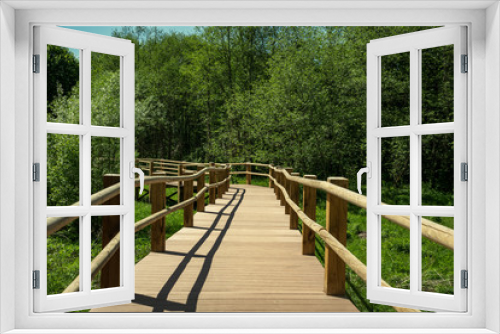 Fototapeta Naklejka Na Ścianę Okno 3D - wooden footpath boardwalk in the bog swamp area