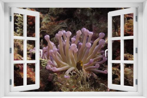 Fototapeta Naklejka Na Ścianę Okno 3D - Life Below Sea level