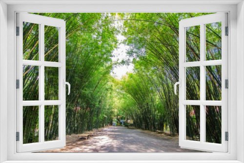 Fototapeta Naklejka Na Ścianę Okno 3D - Tunnel bamboo trees and walkway in thailand