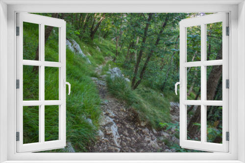 Fototapeta Naklejka Na Ścianę Okno 3D - soft focus lonely trail in deep forest nature mountain landscape in summer colorful day time