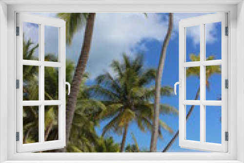 Fototapeta Naklejka Na Ścianę Okno 3D - tropical
