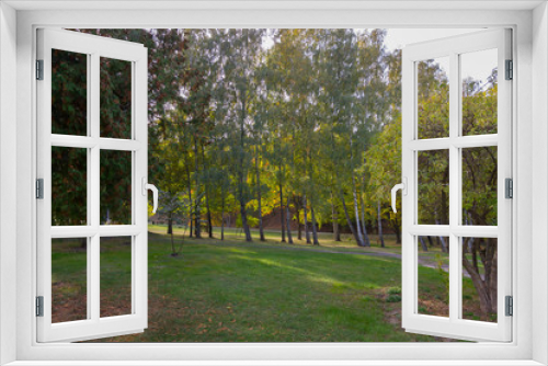 Fototapeta Naklejka Na Ścianę Okno 3D - A grassy lawn in a park near a path with tuy and birch trees