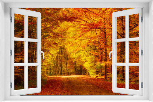 Fototapeta Naklejka Na Ścianę Okno 3D - Beautiful sunny autumn landscape with fallen dry red leaves, road through the forest and yellow trees