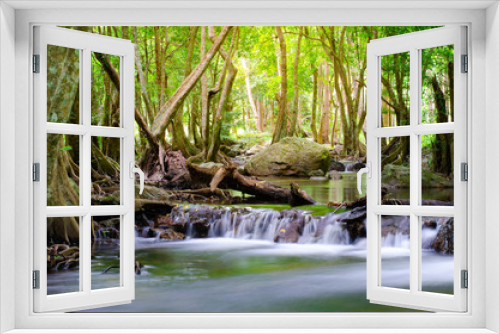 Fototapeta Naklejka Na Ścianę Okno 3D - Forests with streams flowing through. The beauty of the tropical forest. Refreshing streams and trees