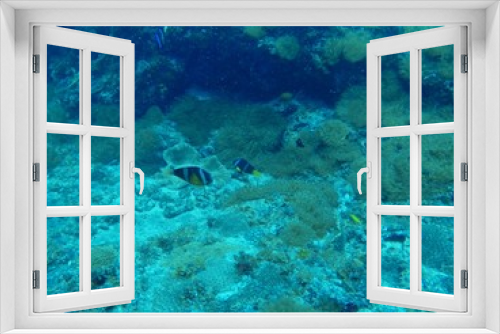 Fototapeta Naklejka Na Ścianę Okno 3D - Under Water - Hachijo Island, Tokyo, Japan