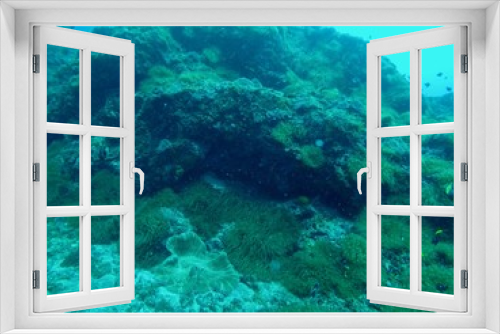 Fototapeta Naklejka Na Ścianę Okno 3D - Under Water - Hachijo Island, Tokyo, Japan
