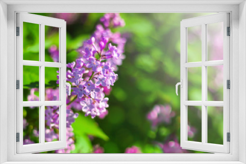 Fototapeta Naklejka Na Ścianę Okno 3D - Background flowers lilacs