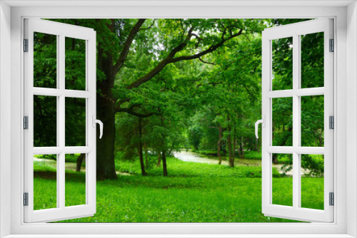 Fototapeta Naklejka Na Ścianę Okno 3D - landscape with green trees in the park