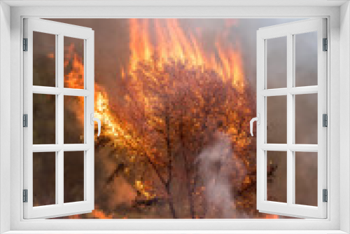 Fototapeta Naklejka Na Ścianę Okno 3D - Firefighters Fighting Wildfire California