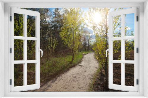 Fototapeta Naklejka Na Ścianę Okno 3D - Spring natural landscape