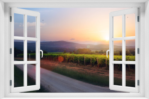 Fototapeta Naklejka Na Ścianę Okno 3D - Sunrise over grape Vineyard; summer winery region morning landscape