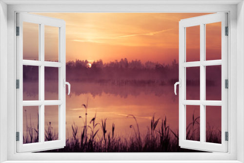 Fototapeta Naklejka Na Ścianę Okno 3D - A beautiful, pink sunrise ower the swamp. Sun rising in wetlands, purple misty atmosphere. Latvia, Northertn Europe