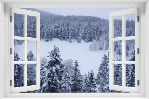 Fototapeta Naklejka Na Ścianę Okno 3D - Colorado Snow 3