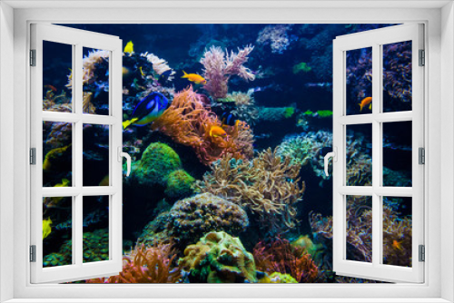 Fototapeta Naklejka Na Ścianę Okno 3D - Colorful coral reef with fish and stone