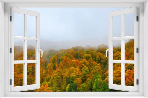 Fototapeta Naklejka Na Ścianę Okno 3D - autumn forest