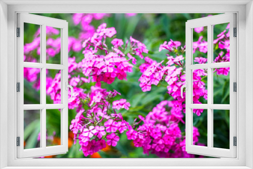 Fototapeta Naklejka Na Ścianę Okno 3D - Цветы