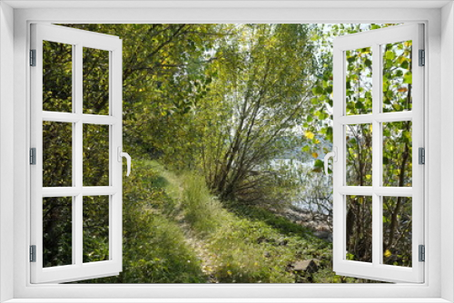 Fototapeta Naklejka Na Ścianę Okno 3D - Leinpfad am Rheinufer - Stockfoto
