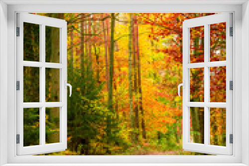Fototapeta Naklejka Na Ścianę Okno 3D - Beautiful path in the autumn forest, Europe