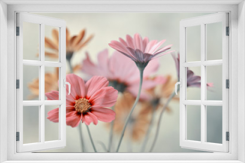Fototapeta Naklejka Na Ścianę Okno 3D - Bukiet pastelowych kwiatów