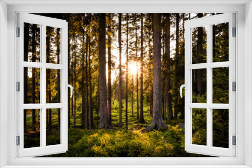 Fototapeta Naklejka Na Ścianę Okno 3D - Sonne scheint durch Waldpanorama im Sommer