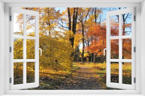 Fototapeta Naklejka Na Ścianę Okno 3D - Autumn Park