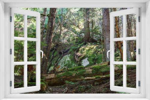 Fototapeta Naklejka Na Ścianę Okno 3D - Entrance to the forest in Stawamus Chief Provincial Park British Columbia Canada.