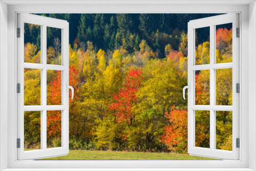 Fototapeta Naklejka Na Ścianę Okno 3D - Colorful autumn landscape