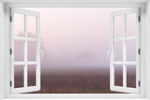 Fototapeta Naklejka Na Ścianę Okno 3D - Wide panorama of beautiful foggy meadow. Dense fog over dry grass meadow and trees silhouettes at early autumn morning.
