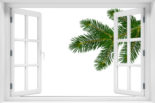 Fototapeta Naklejka Na Ścianę Okno 3D - A green realistic lush branch of fir or pine. Isolated on white background. illustration
