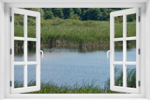 Fototapeta Naklejka Na Ścianę Okno 3D - Marsh near Budapest, Hungary