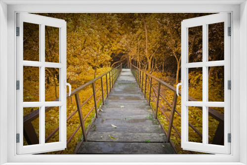 Fototapeta Naklejka Na Ścianę Okno 3D - Downstairs in Nature forest at autumn fall brown tree leaf background