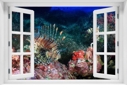 Fototapeta Naklejka Na Ścianę Okno 3D - Beautiful Red Lionfish swimmong on a colorful tropical coral reef