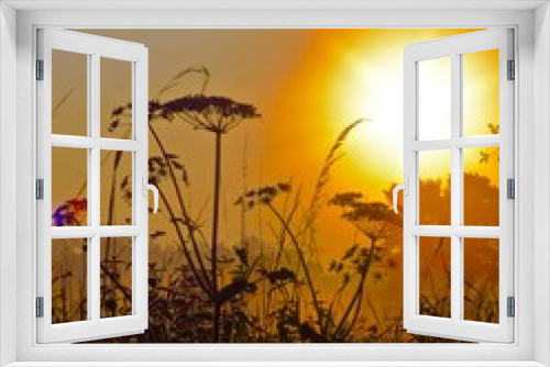 Fototapeta Naklejka Na Ścianę Okno 3D - sonnenaufgang in den wiesen
